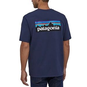 Patagonia Mens Responsibili-Tee